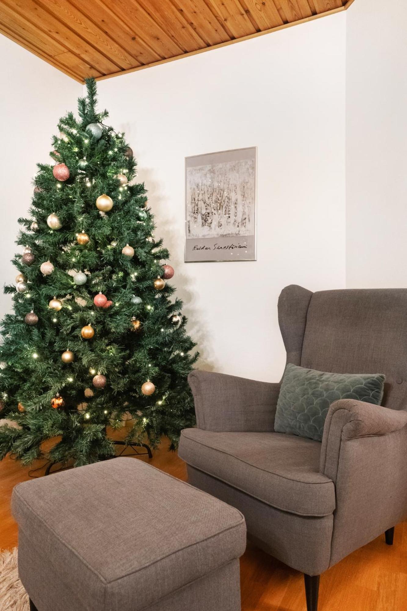 Villa Kataja Rovaniemi Ngoại thất bức ảnh